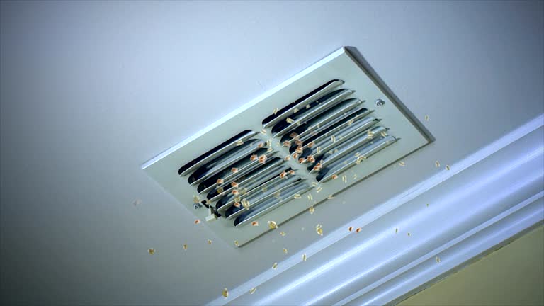 Best Affordable Air Duct Cleaning  in Linden, CA